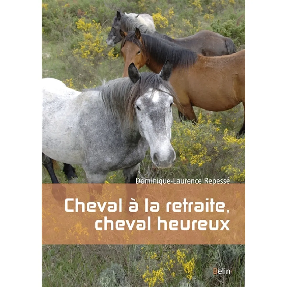 Cheval à la retraite, cheval heureux · Occasion