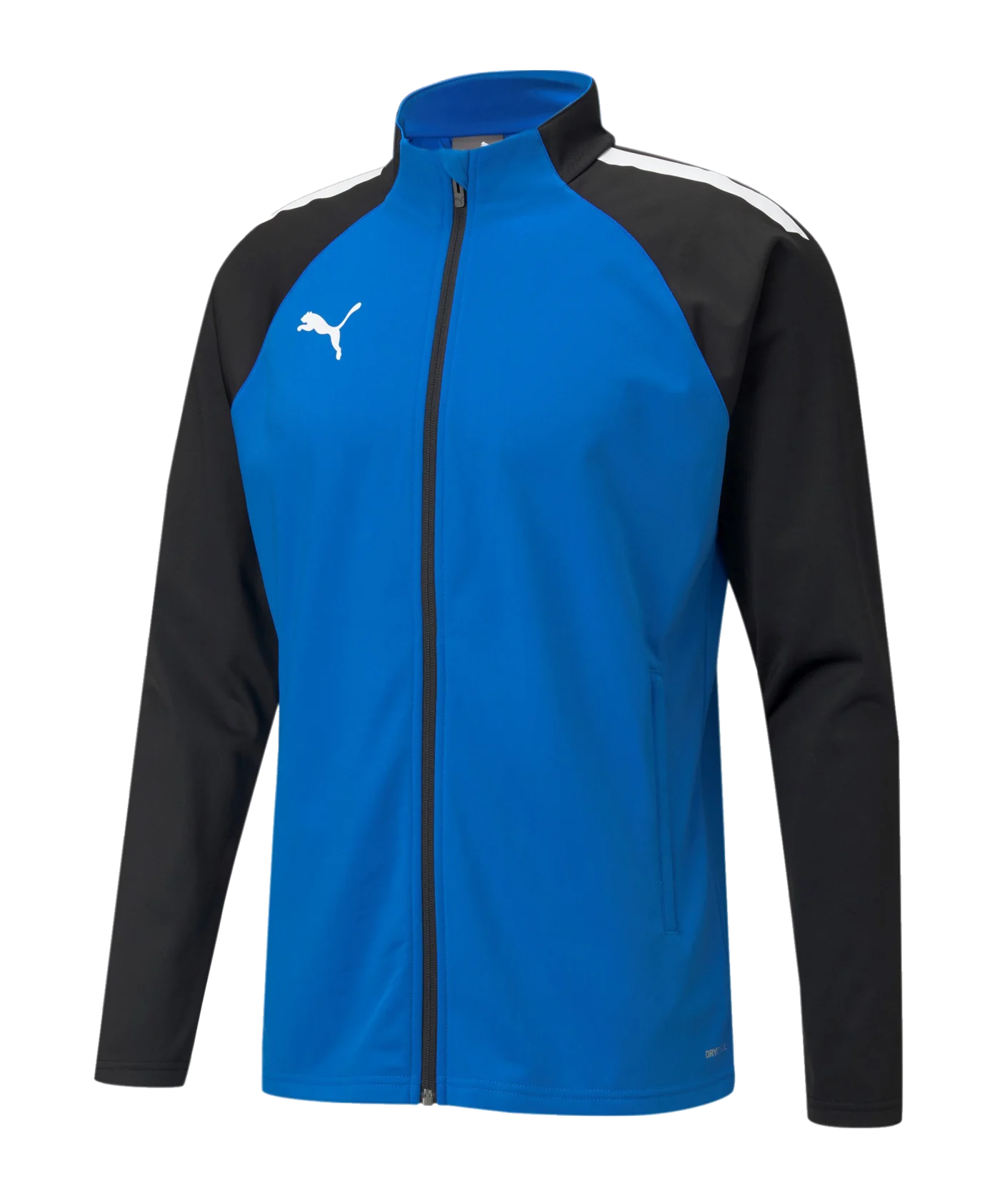 PUMA teamLIGA Trainingsjacke Blau F02