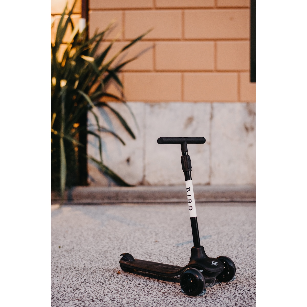 Bird Birdie Glow kids sparkesykkel VA00057 (jet black)
