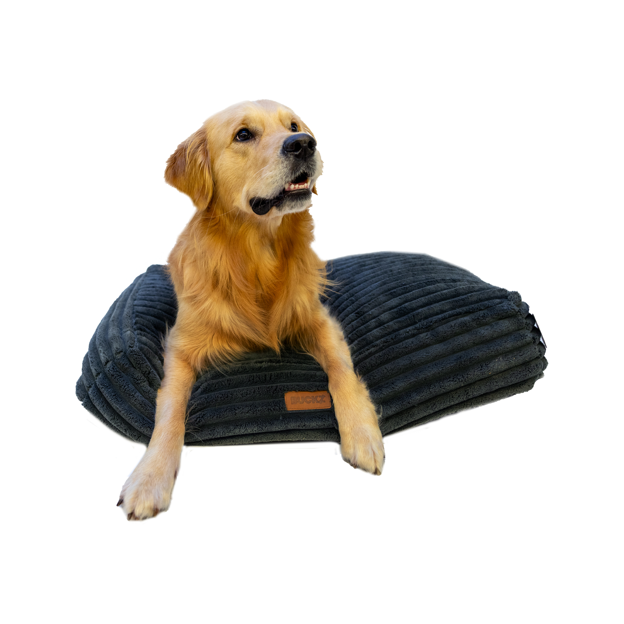 Buckz Corduroy Hondenmand Leo