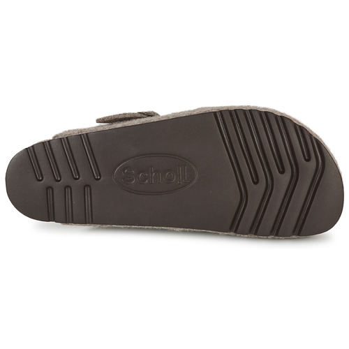 Scholl - OLIVIER Gris