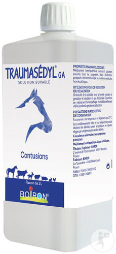 Boiron Traumasedyl GA Contusions Flacon 1l
