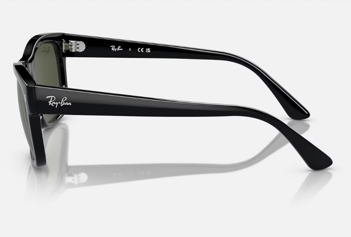 Ray-Ban<br>RB4428 Black