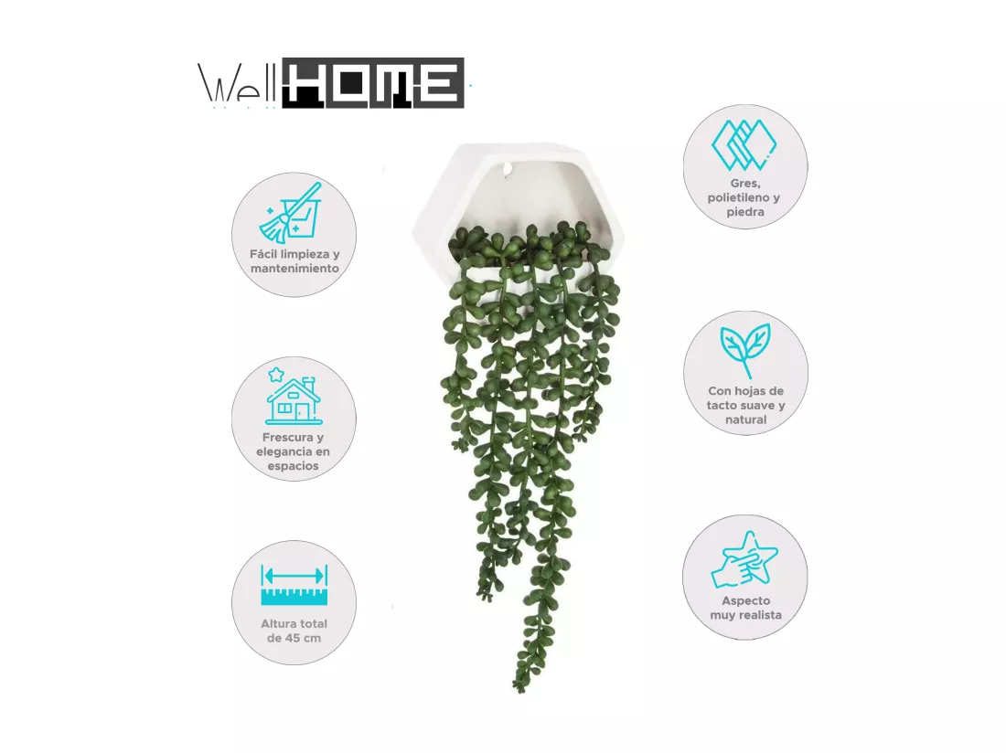WELL HOME - Plante murale contemporaine