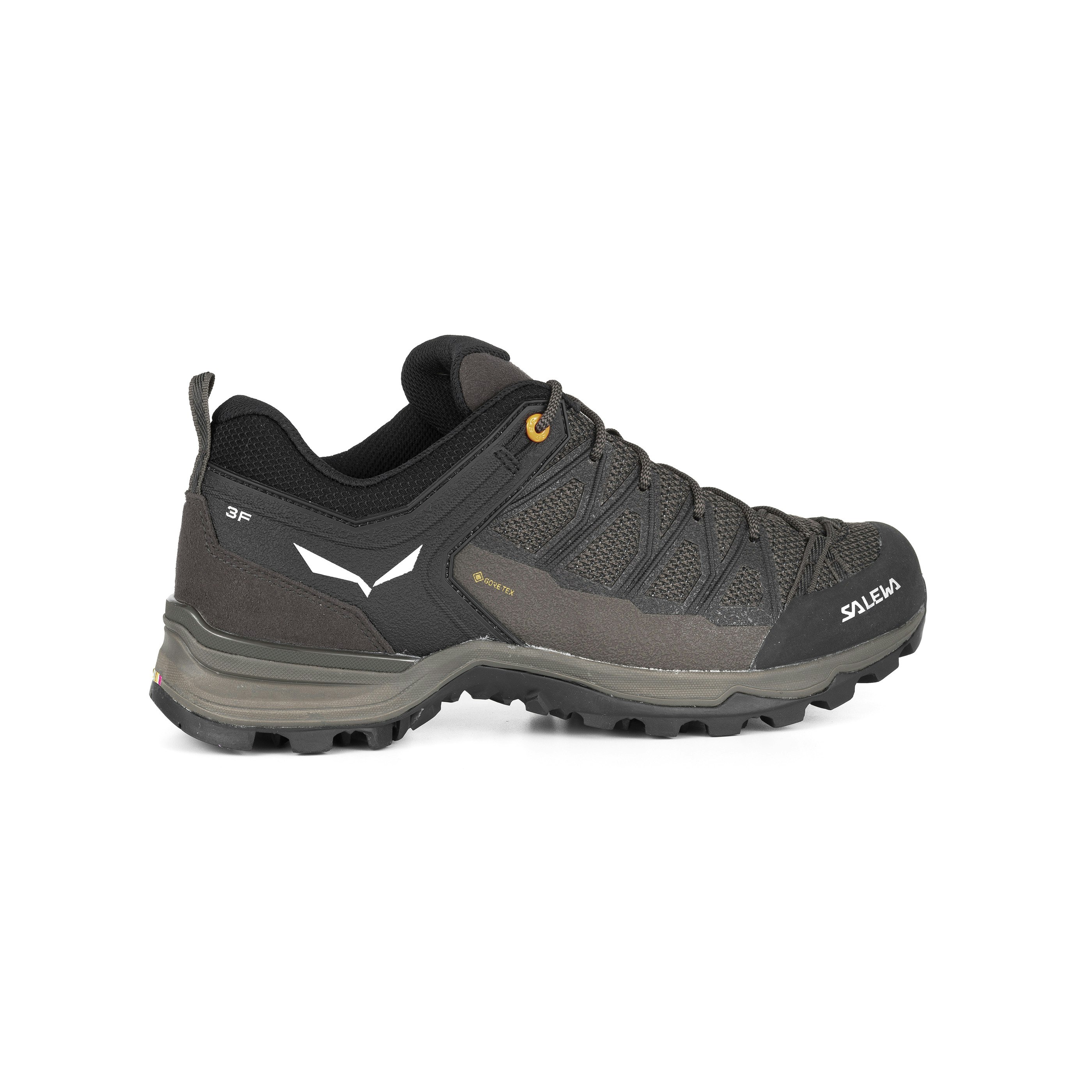 Mountain Trainer Lite GORE-TEX® Herrenschuhe