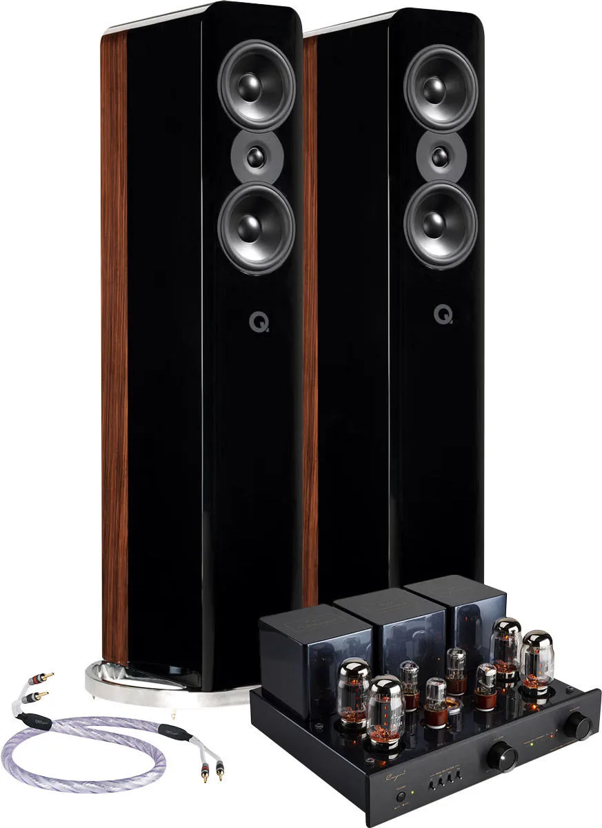 Chaîne Q Acoustics Concept 500 / Cayin CS-88A KT88 / QED Genesis comprenant la paire d'enceintes Q Acoustics Concept 500 Noir, l'amplificateur stéréo Cayin CS-88A KT88 Noir et la paire de câbles d'enceintes montés QED Genesis (2x2,5m) Chaînes Grand S