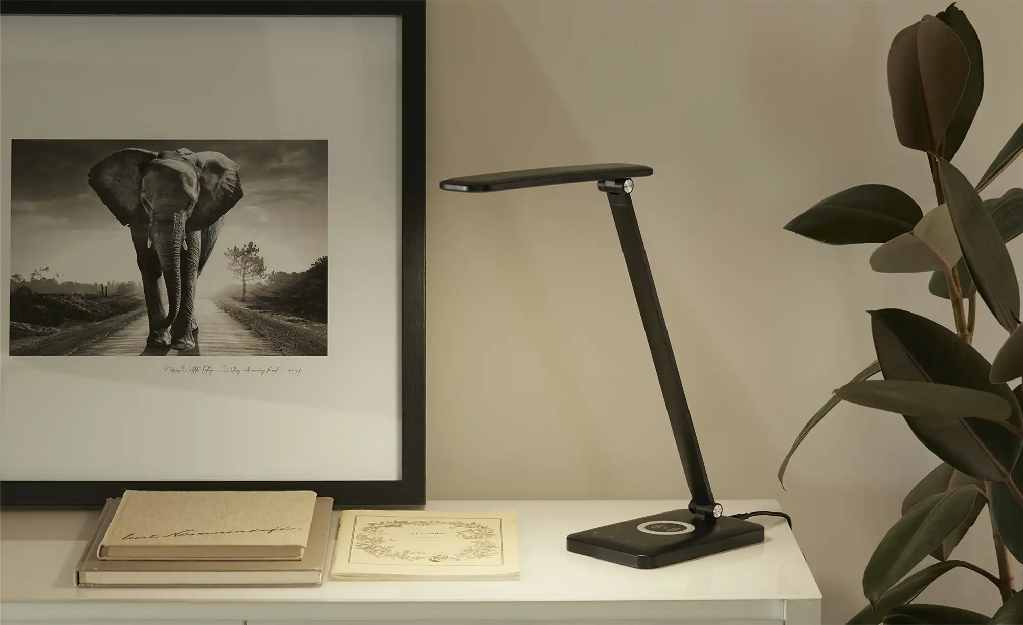 Paul Neuhaus LED-Schreibtischleuchte, Schwarz mit Ladefunktion