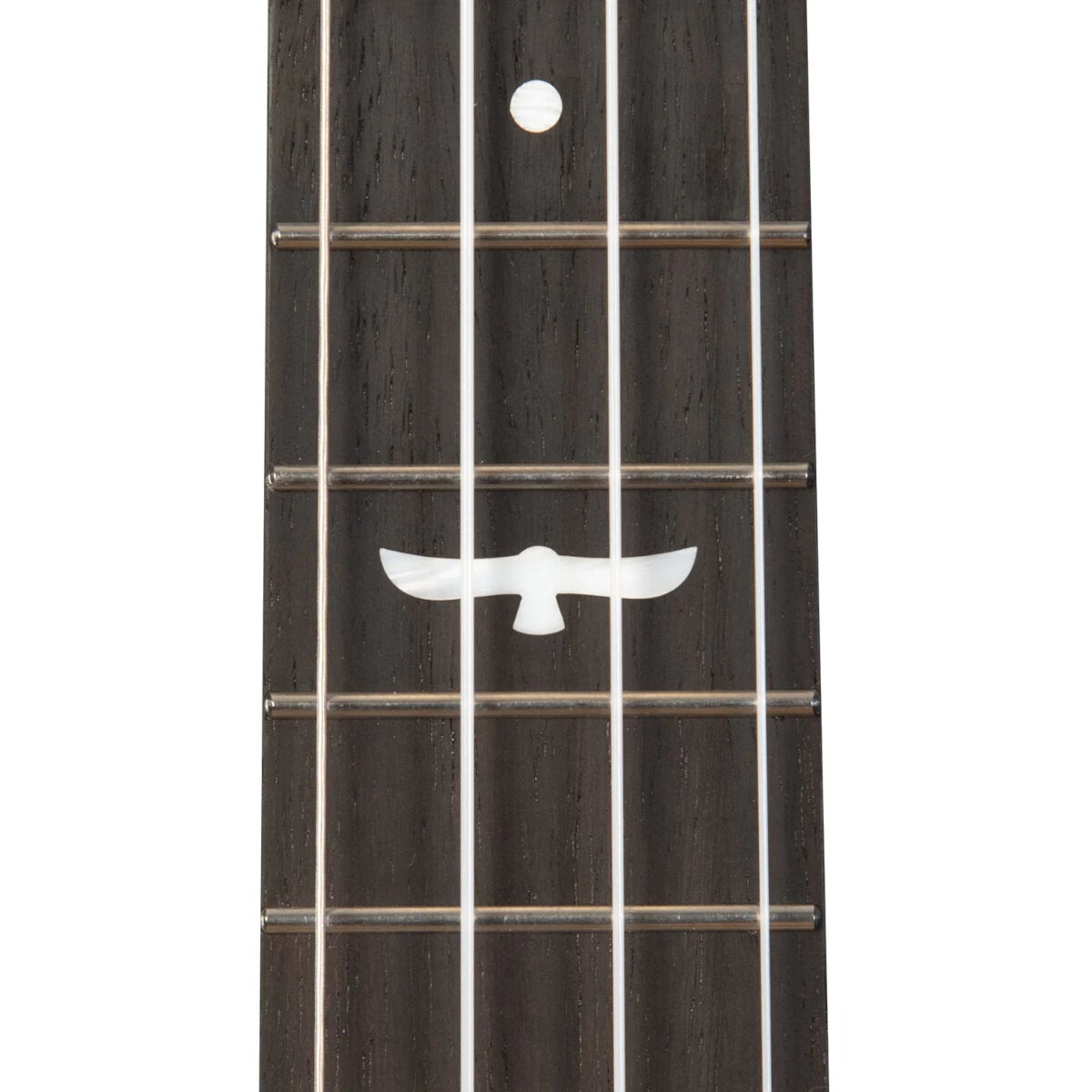Kala Revelator Night Owl Mango Tenor elektrisch-akoestische tenor ukelele met deluxe gigbag