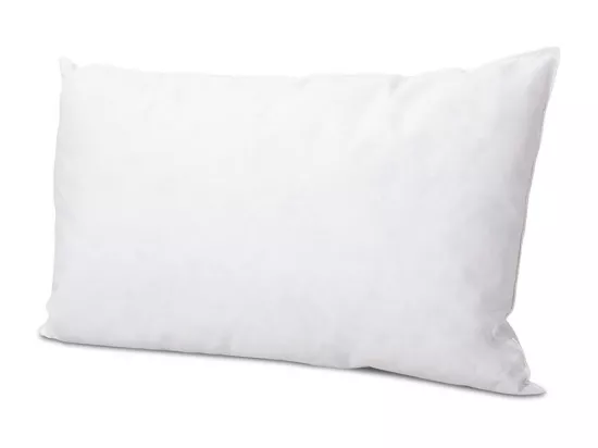 BELLECOUR LITERIE | Lot de 2 oreillers 40x60 cm CHAMBORD | Duvet & Plumes