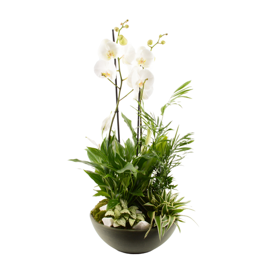 Compo Orchidée et 5 plantes H70cm, pot D30cm