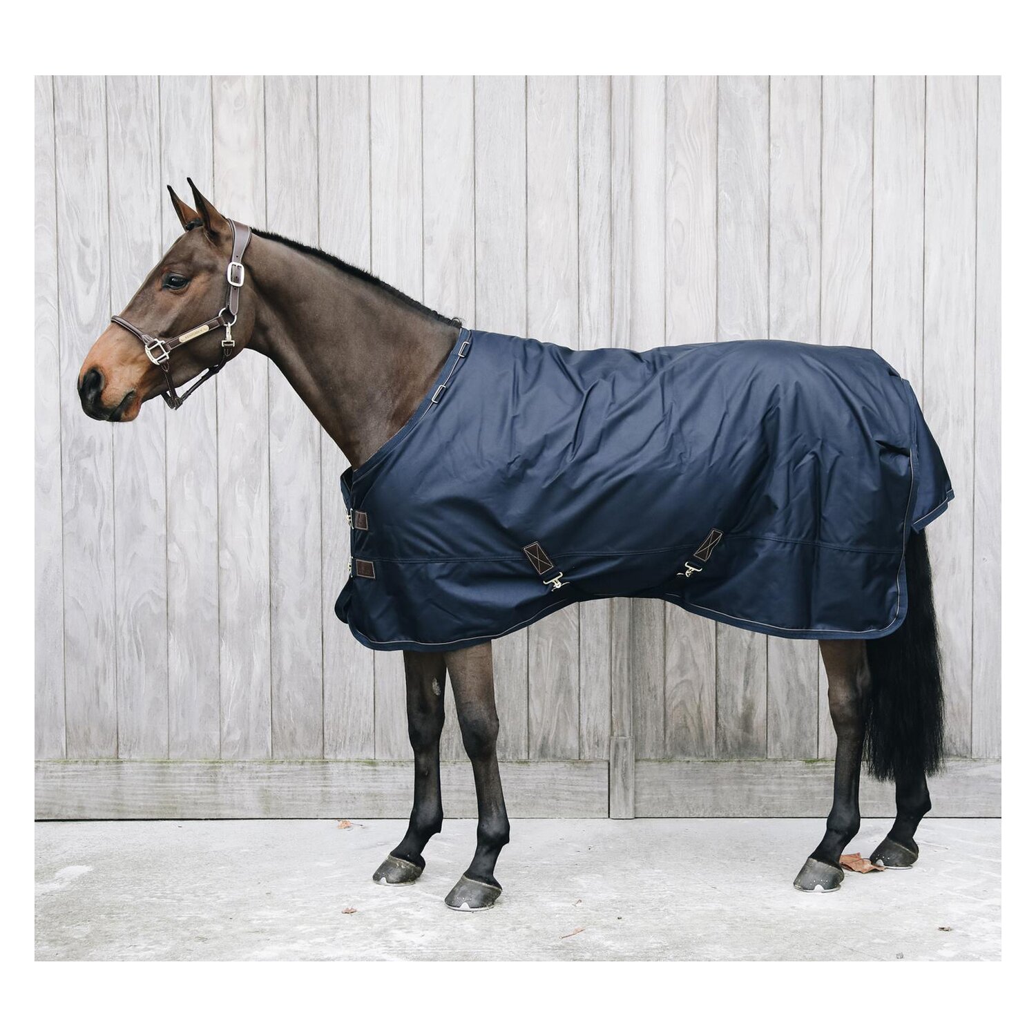 KENTUCKY Weidedecke All Weather Pro - navy