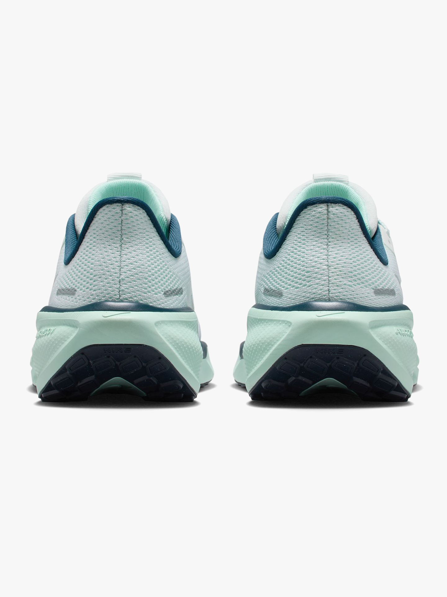 Pegasus 41