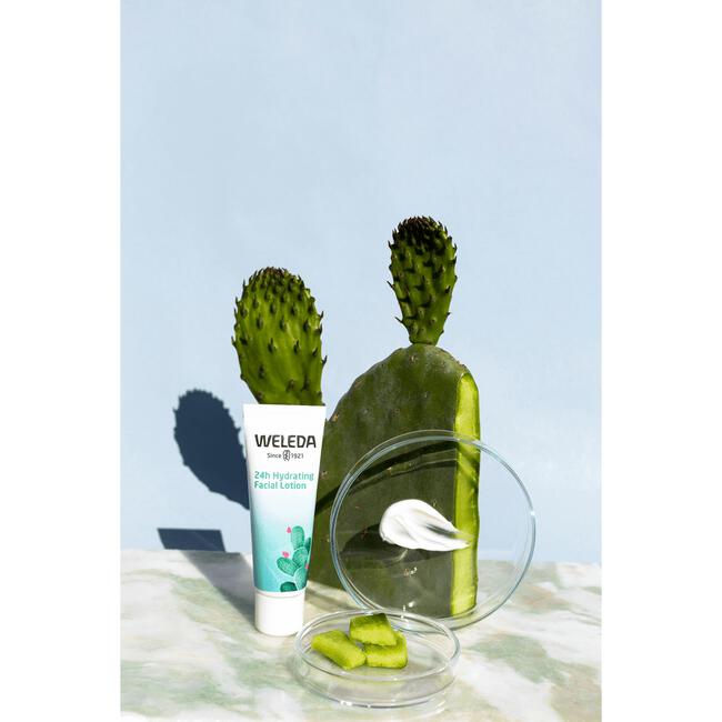 Weleda Vijgencactus 24H Gezichtscreme Light 30 ML