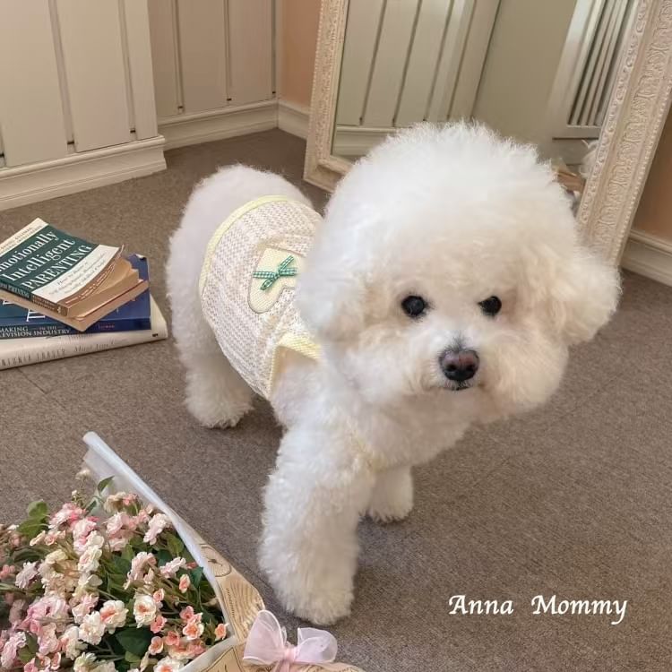 tanvtim - Ribbon Heart Pet Top