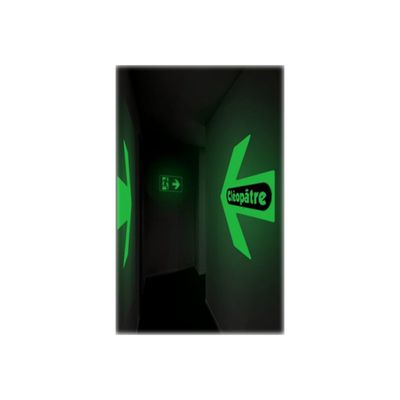 Cléopâtre Princess Mérit - peinture - peinture acrylique - phosphorescent - 250 ml