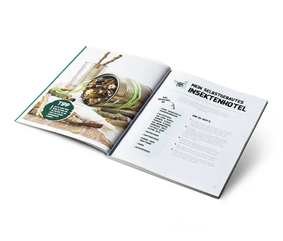 Buch »Expedition Vitamine«