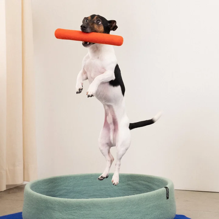 myfelt - Mats Hundespielzeug, Ring, rotorange
