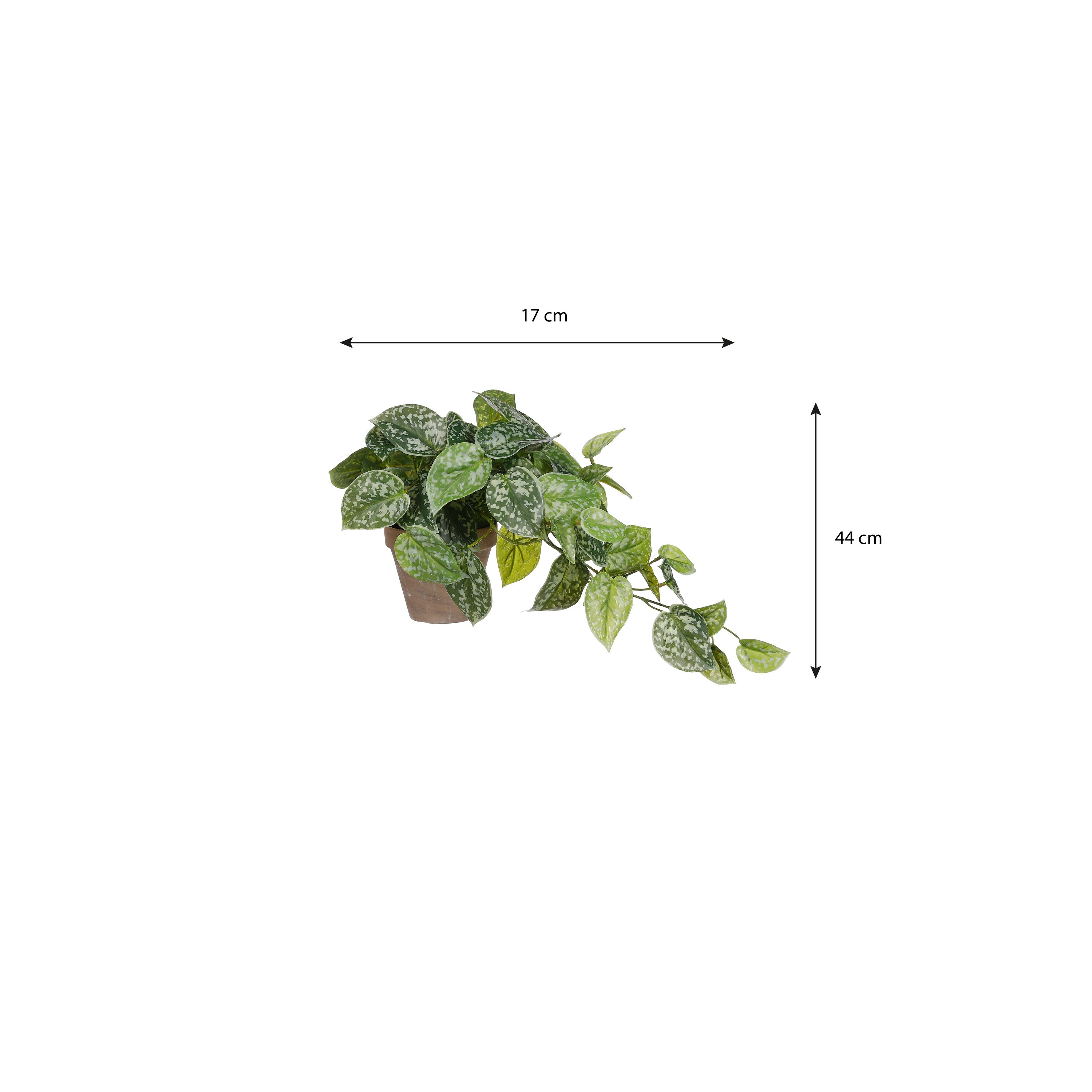 Mica Decorations Scindapsus Kunstplant - 17x17x44 cm - Groen