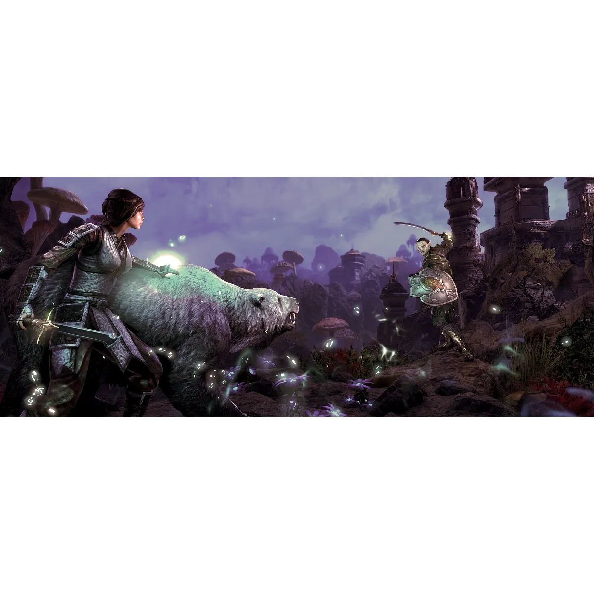 Bethesda ESO Morrowind - PC