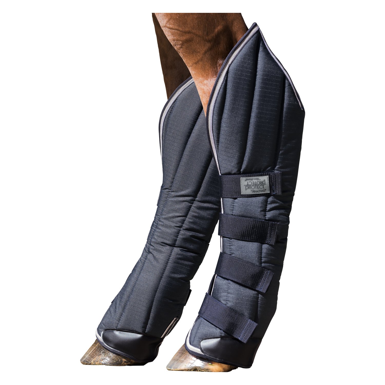 PROTECT by Horse-Friends Transportgamaschen Premium  - navy