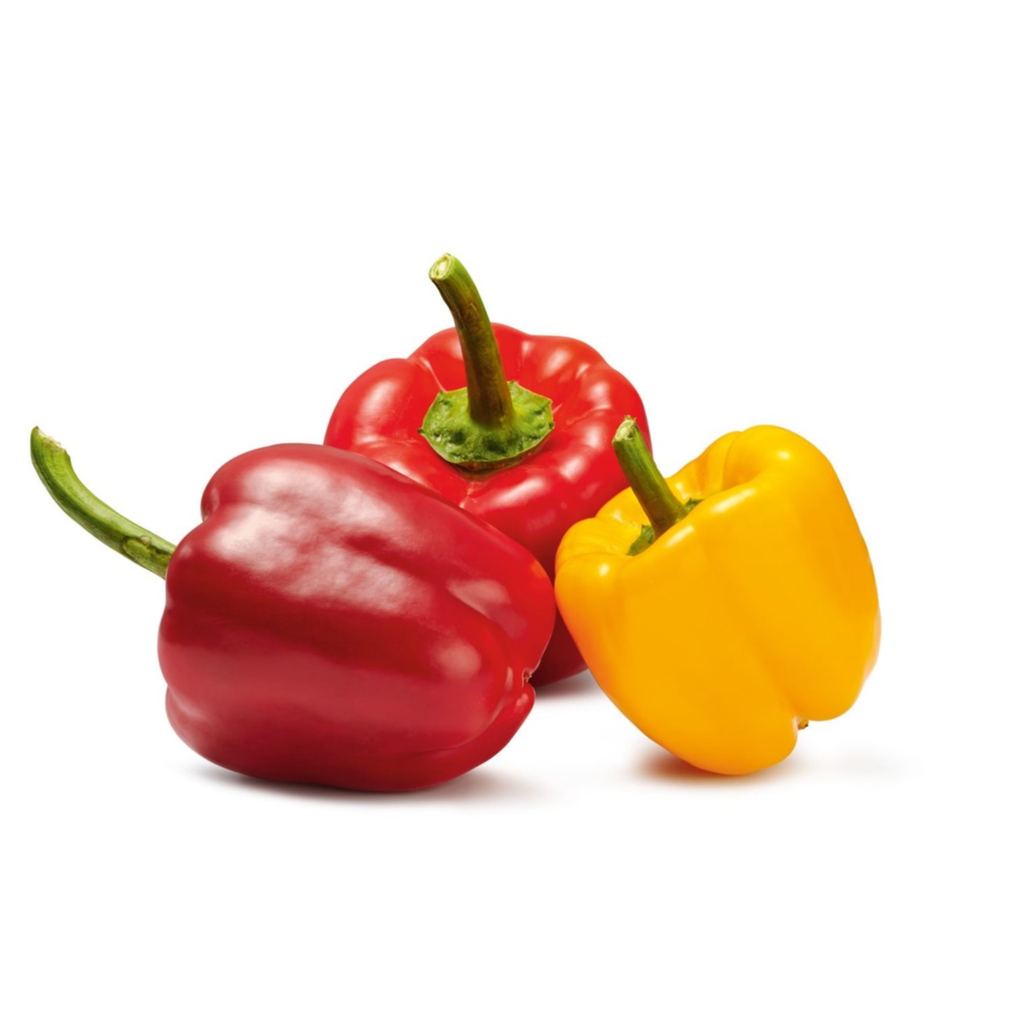 Peperoni farbig -