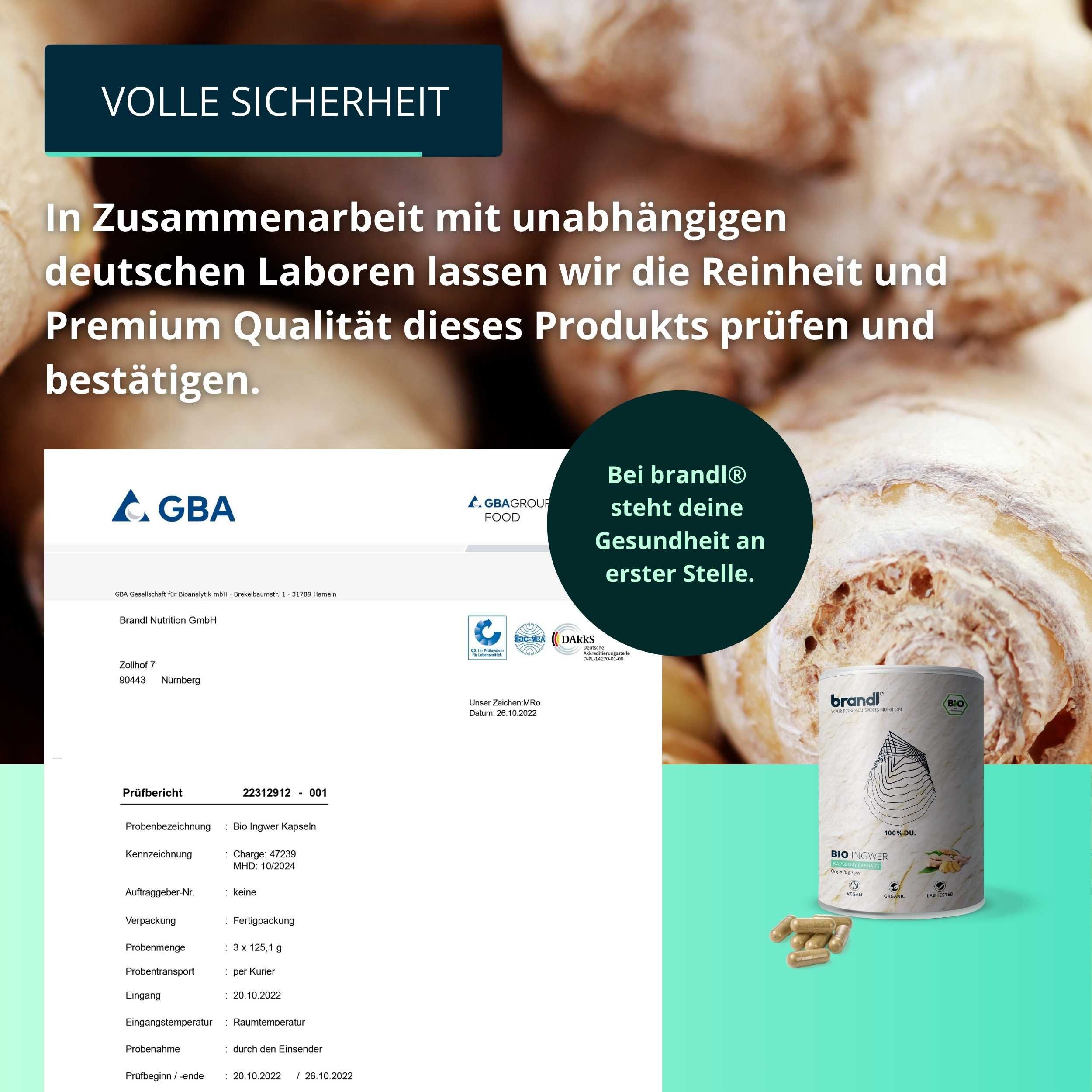 brandl® Bio Ingwer (Ginger)