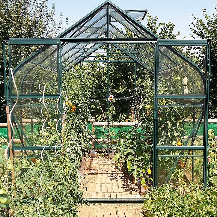 Serre en verre Lams Aloe vert 8,10m²