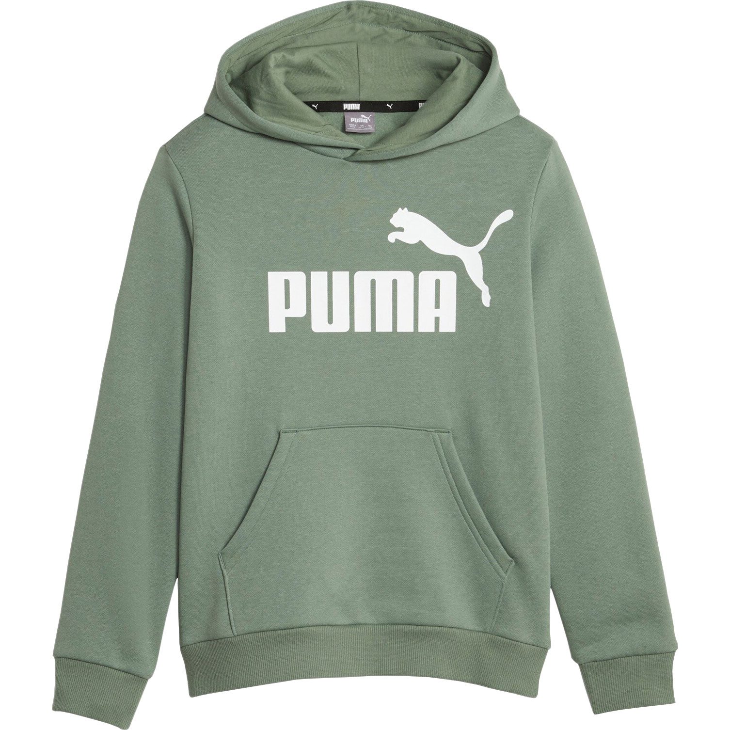 Puma Essentials Big Logo FL Hoodie Jungen eucalyptus