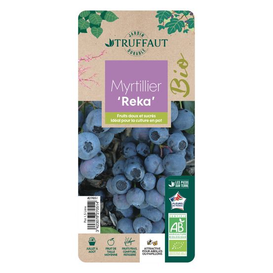 Myrtillier 'Reka' bio : pot de 1,5 litres