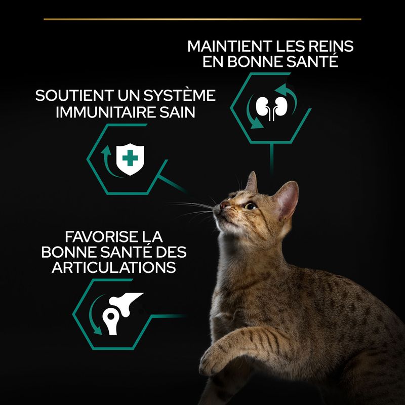 PRO PLAN Original Adult riche en poulet à prix discount sur bitiba.fr