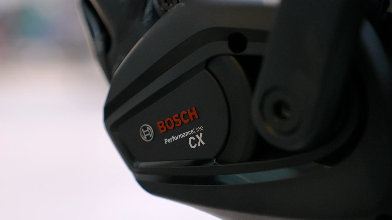 Koga Pace B10 Suspension 2025
