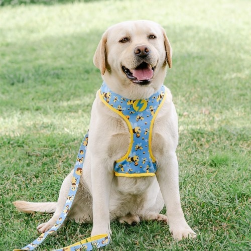 Coleira para cães em formato de abelha