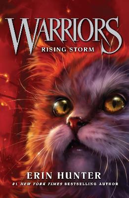 Rising Storm - Warriors Book 4 (Paperback)