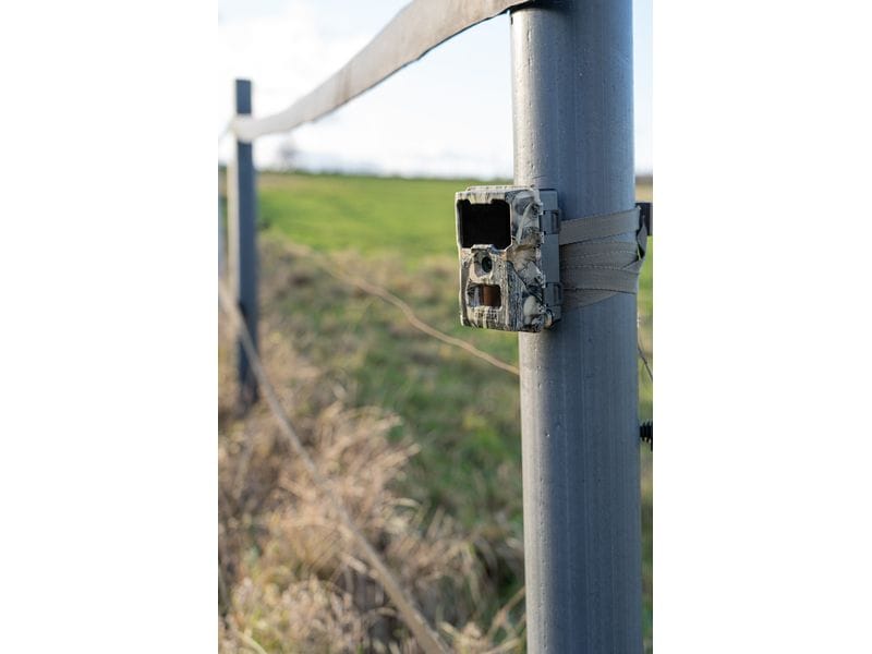 Dörr Kamera Wildkamera SnapShot Mini 5.0 Pro Überwachungskamera für hochauflösende Wildtierbeobachtung und Sicherheitsüberwachung