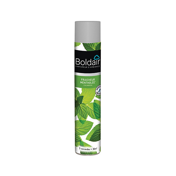Désinfectant désodorisant Boldair menthe 500 ml