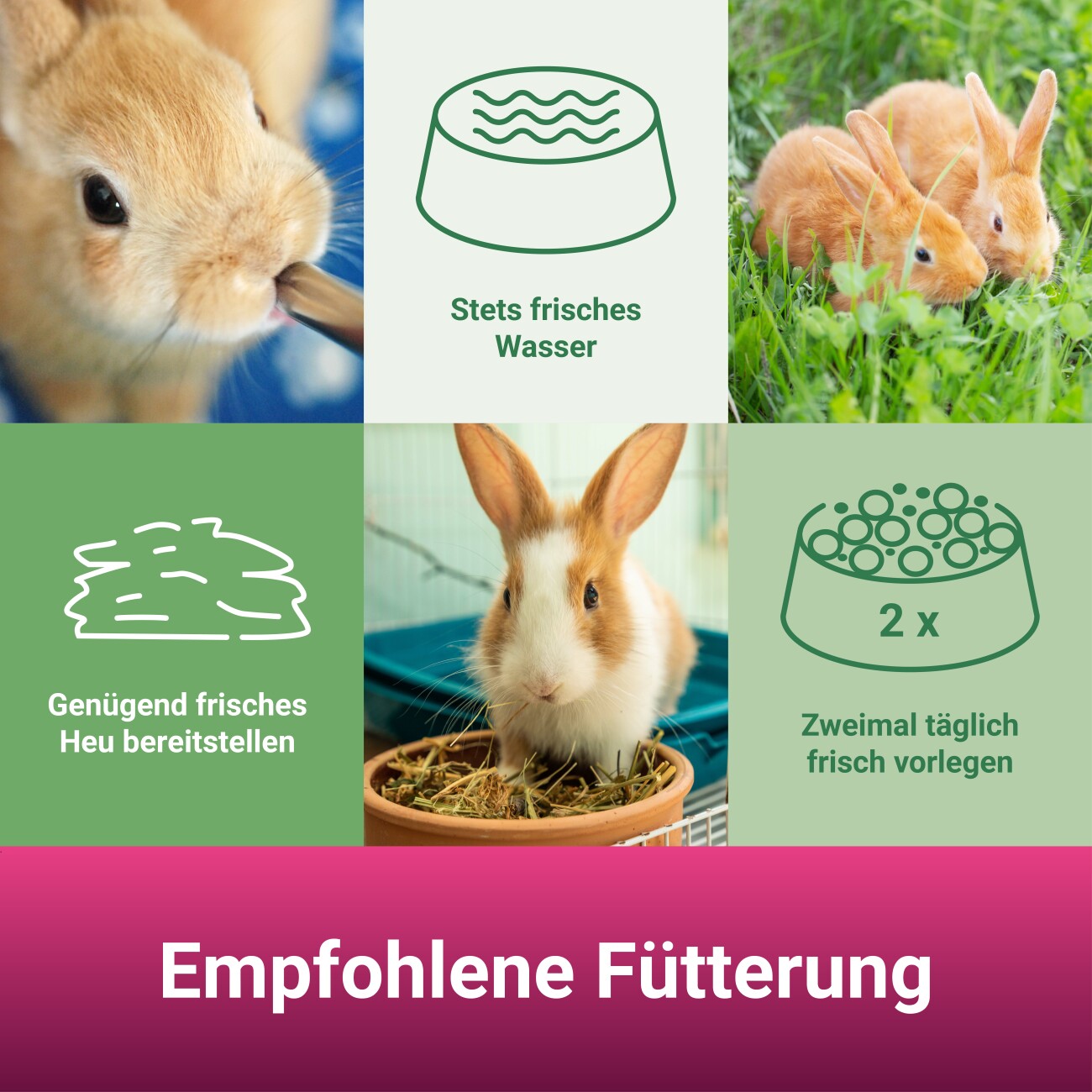 Panto ® ZWERGKANINCHENFUTTER 1 kg