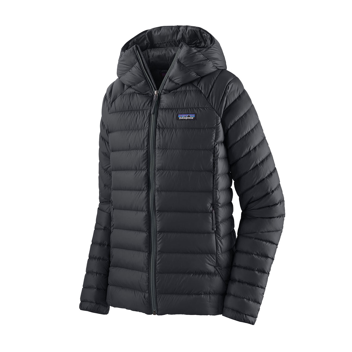 Patagonia Womens Down Sweater Hoody