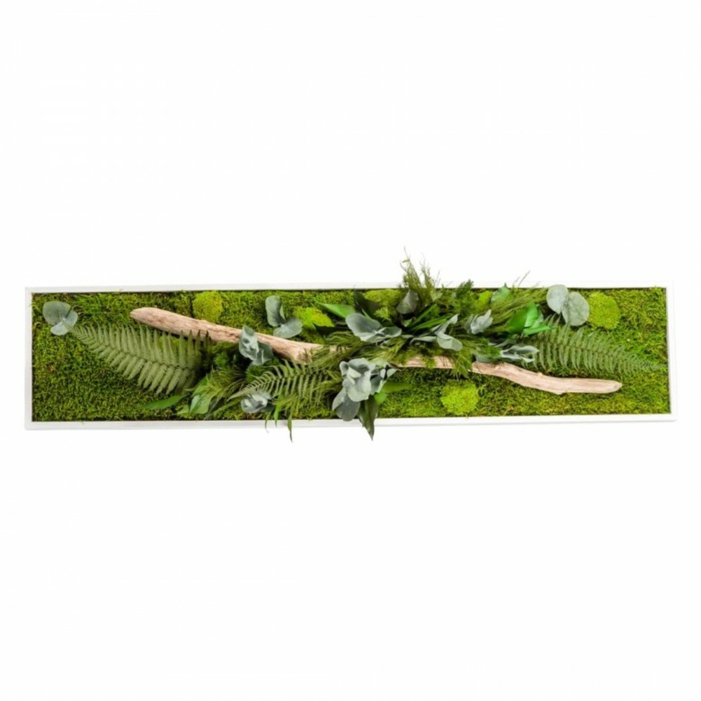 Stab nature - cadre blanc - panoramic l 25x115