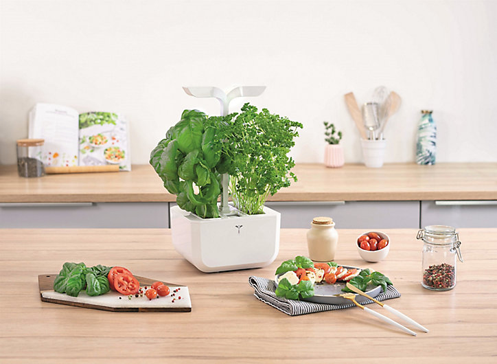 Potager d'intérieur Exky® Classic Arctic White