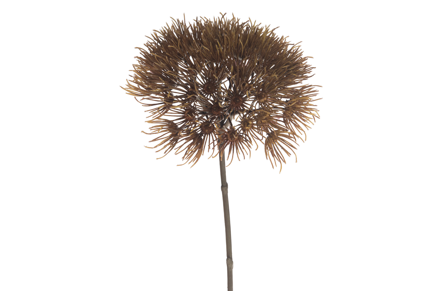 Artificial heracleum branch 81 cm