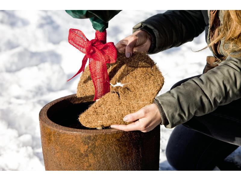 Windhager Mulchscheibe Cocodisc ø 60 cm Pflanzenvlies