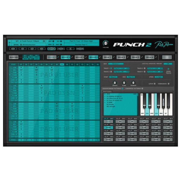 Rob Papen Punch