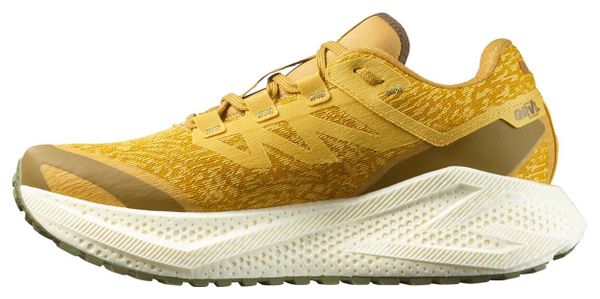 Chaussures Running Salomon Aero Glide 3 GRVL Jaune Homme