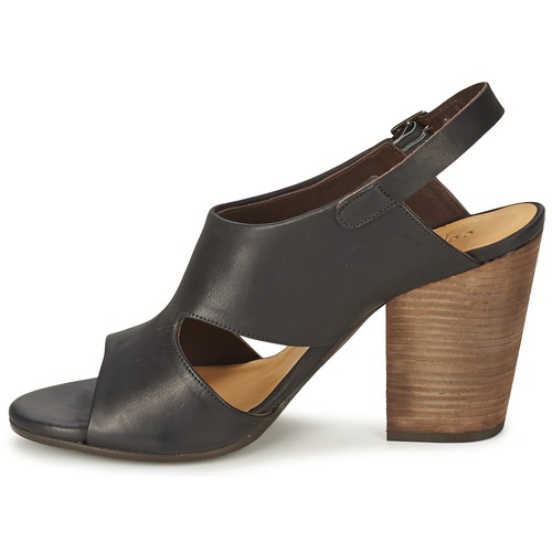 Coclico - CASPAR Negro