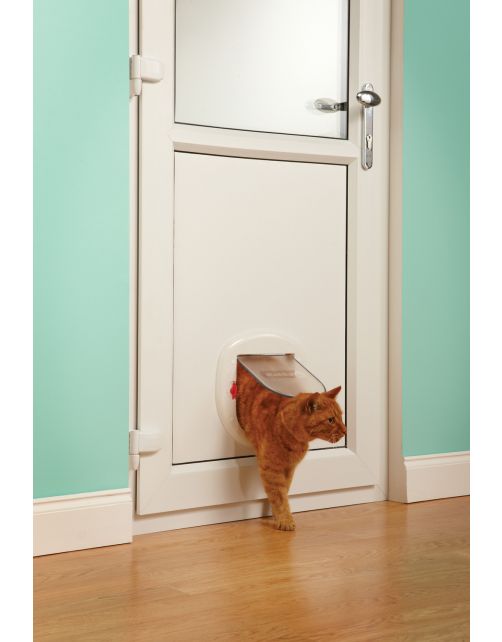 Petsafe Dierenluik 280 Slim Big Cat M - Kattenluik - 29.4x5x29.9 cm Wit
