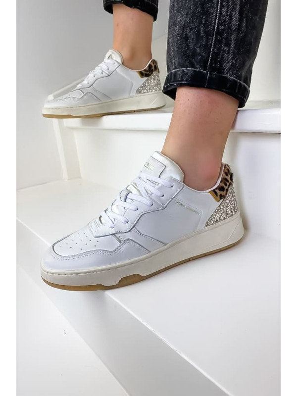 Sneakers TIMELESS LOW TOP Multicolor - Crime London
