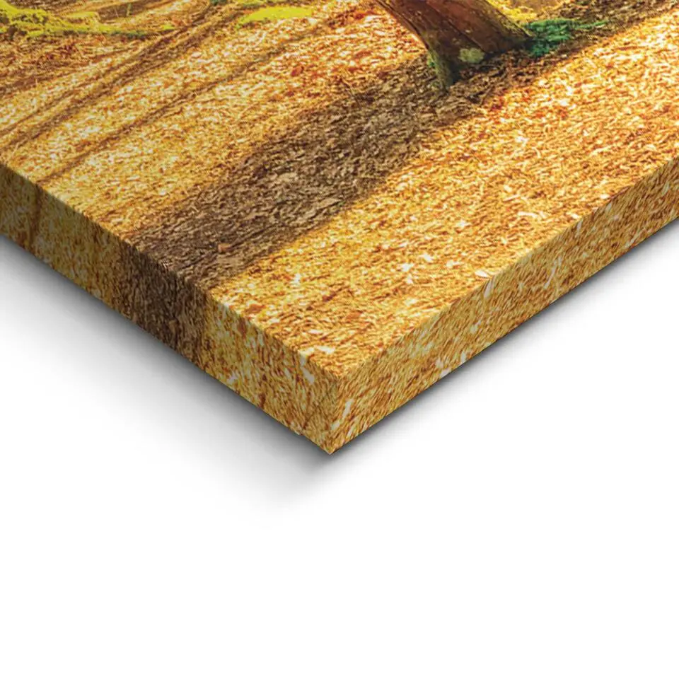 Schilderij Zonnig bos - 70x118cm - Groen