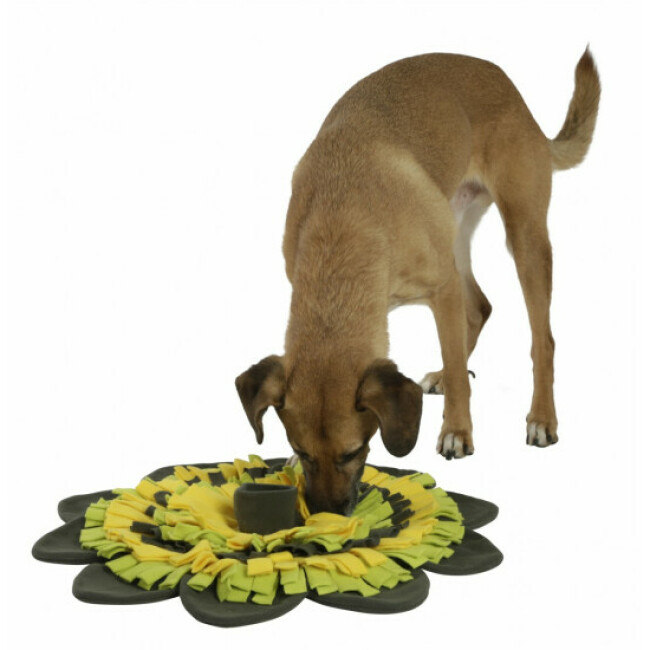 Tapis à renifler Sunflower Kerbl pour chien
