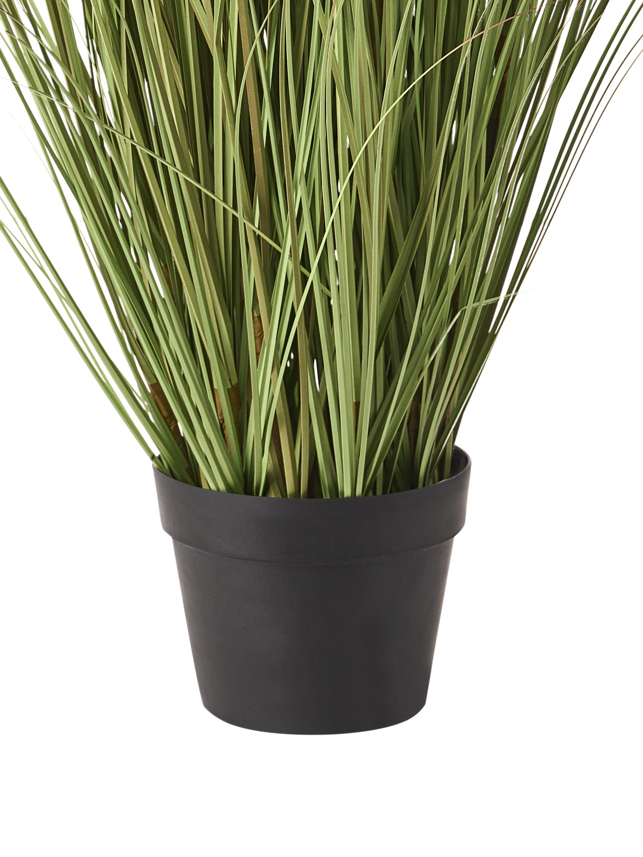 Kunstplant CLAW FLOWER 150 cm Groen
