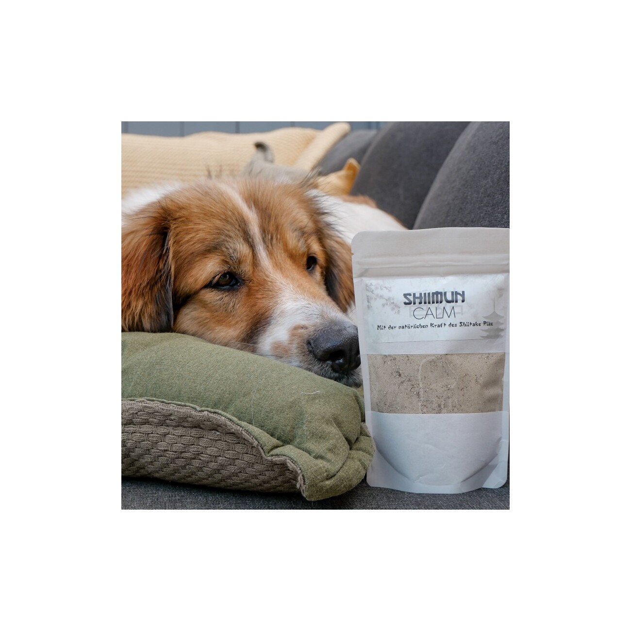 Marsapet Shiimun Calm Pulver für Hunde und Katzen mit Shiitake - 120g